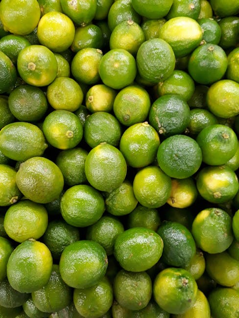 A vibrant collection of fresh green limes showcasing natural abundance.